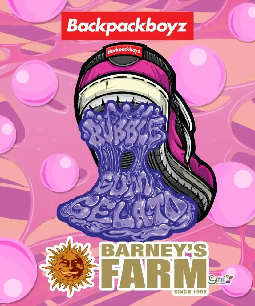 Bubblegum Gelato (Gift Pack) — 2