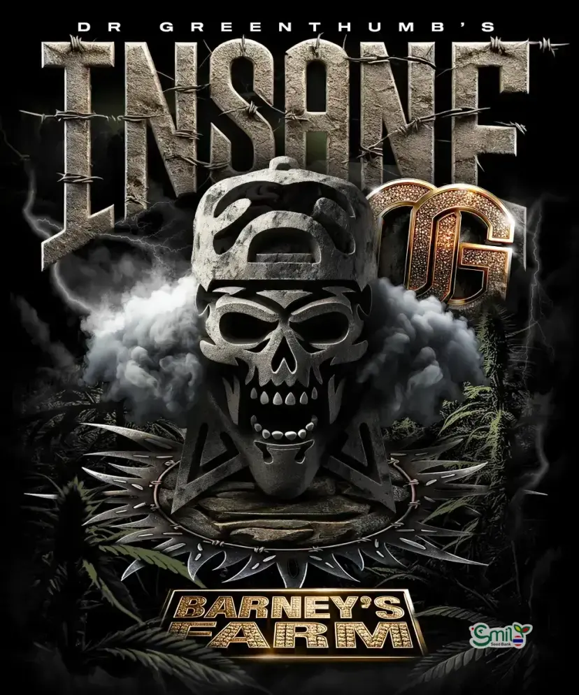 Insane OG (Gift Pack) — 2