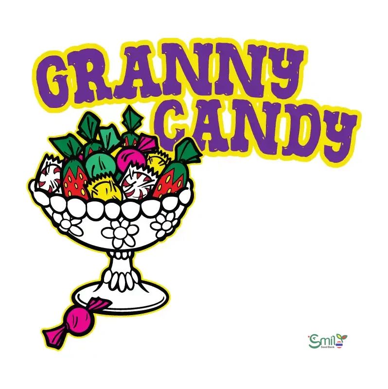 Granny Candy — 5