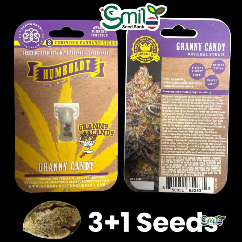 Granny Candy — 1