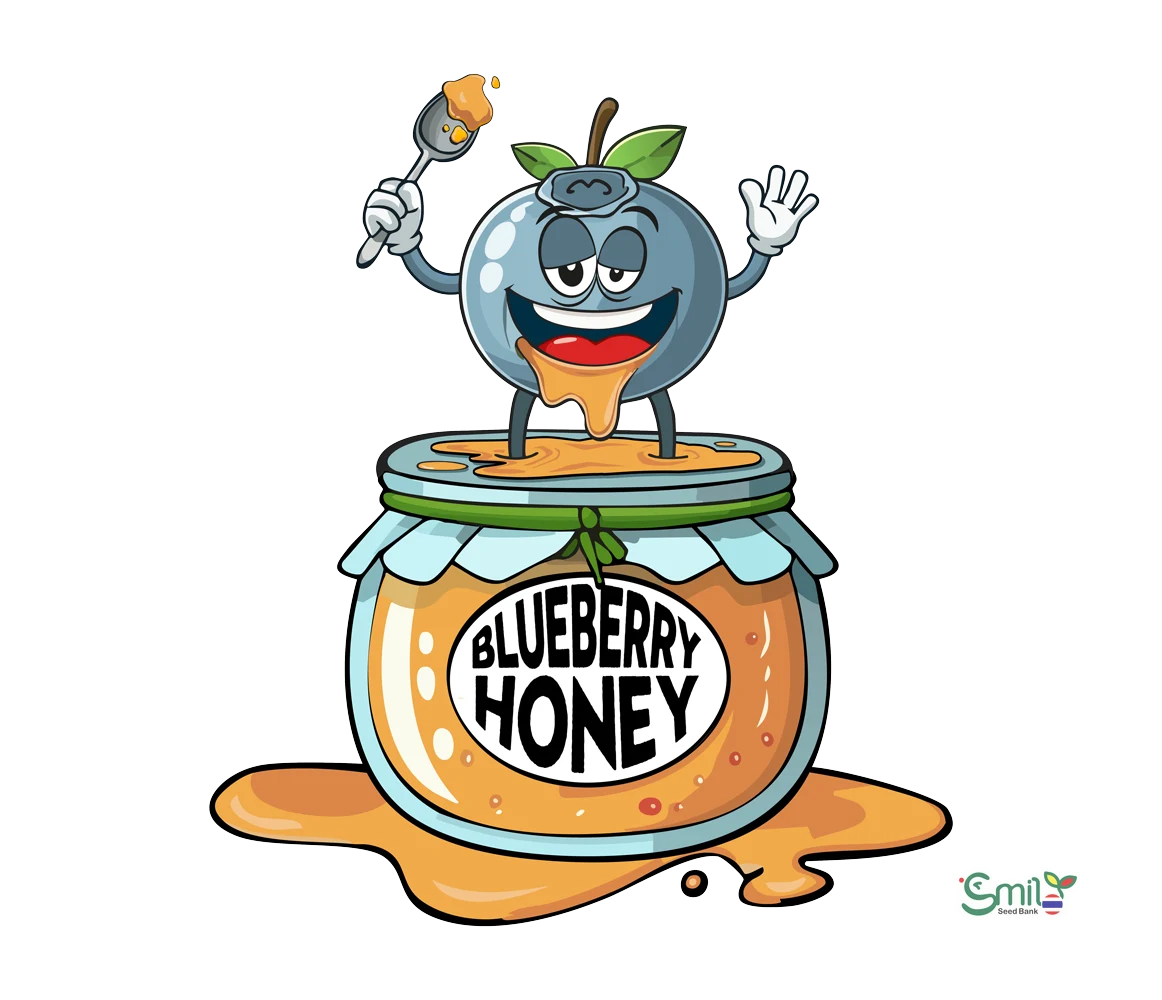 Blueberry Honey — 4