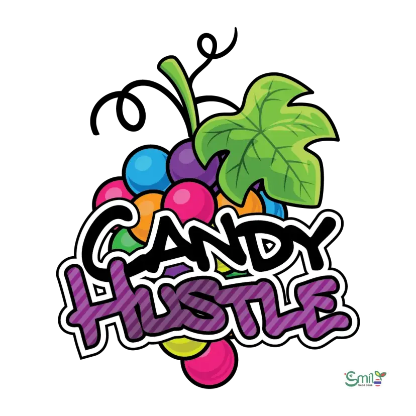 Candy Hustle — 4