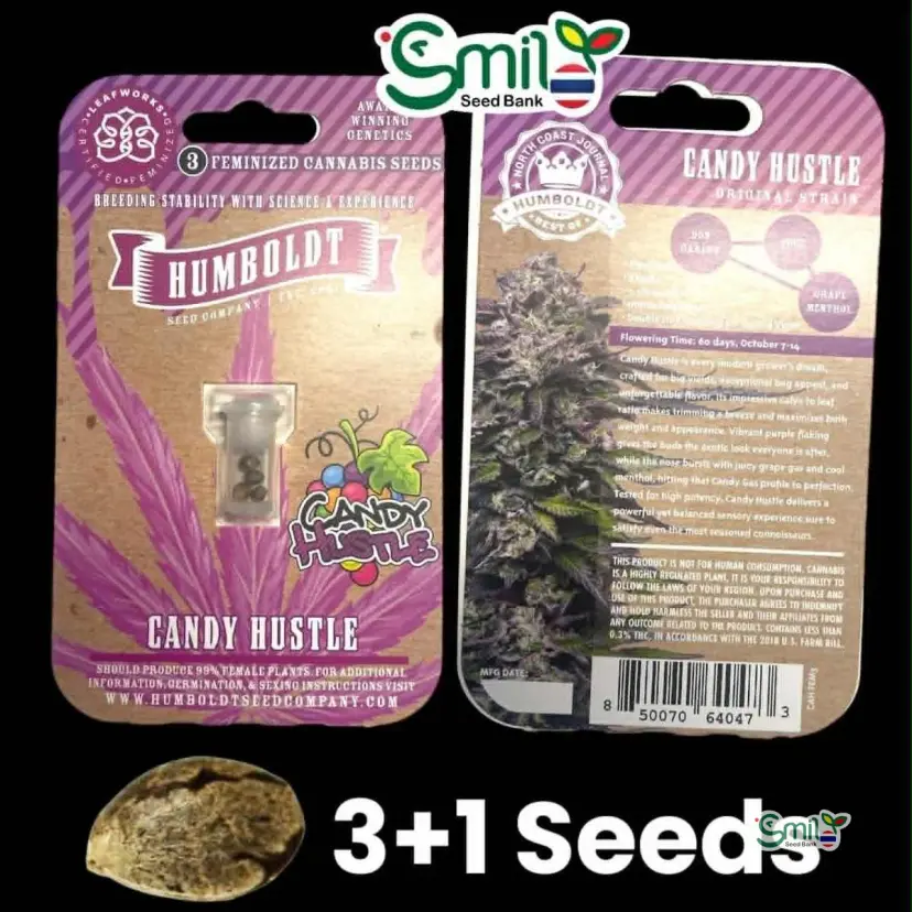 Candy Hustle — 1