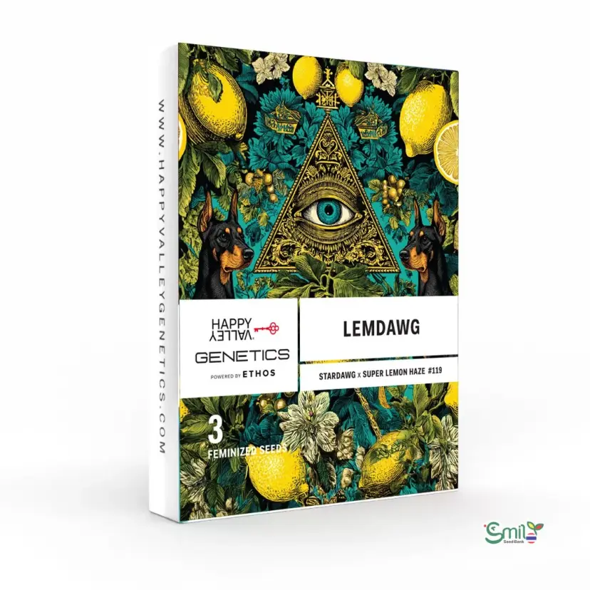 Lemdawg — 1