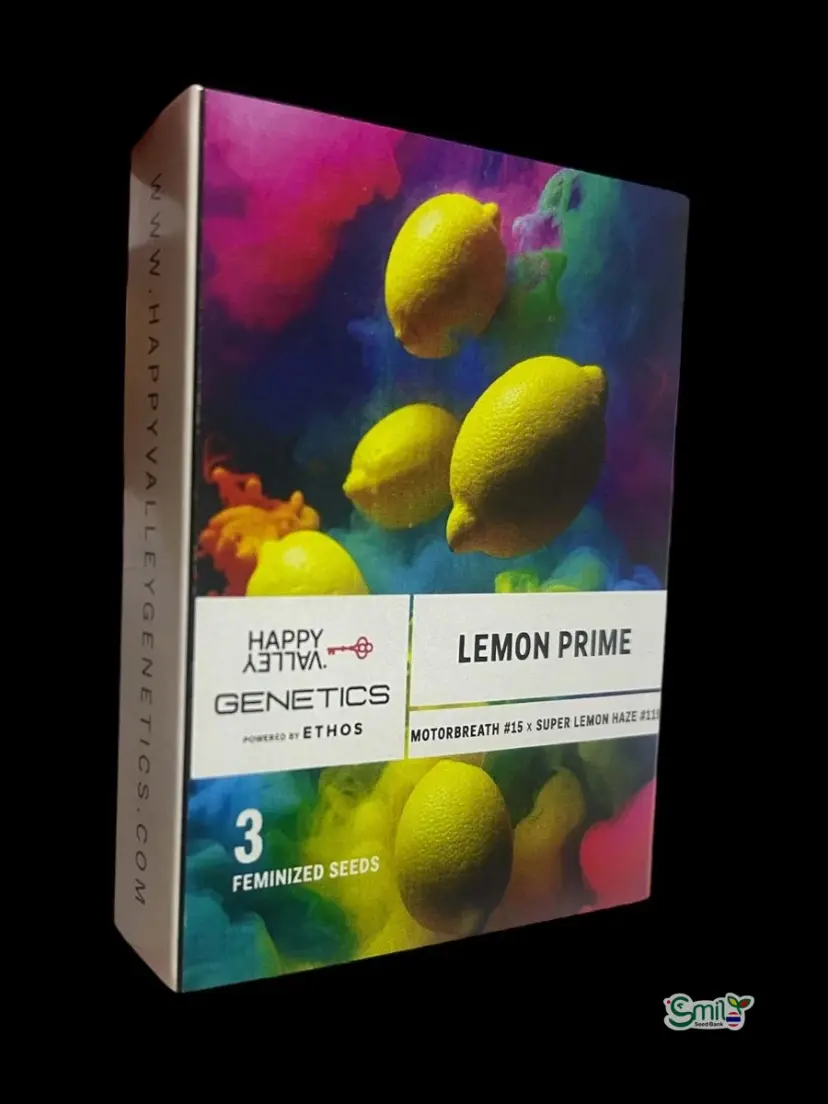 Lemon Prime — 1