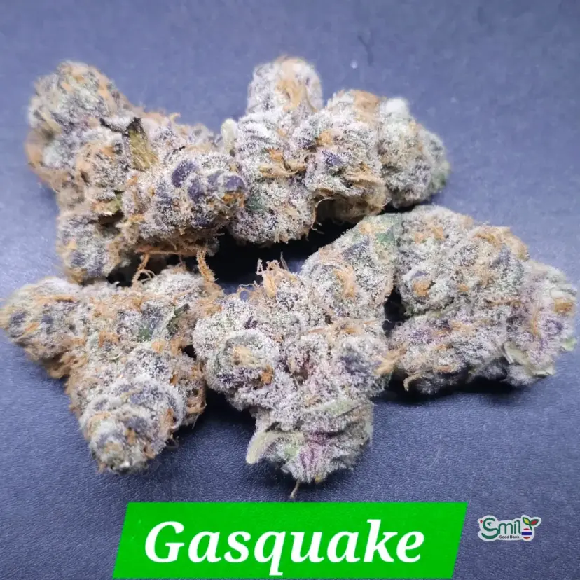 Gasquake — 2