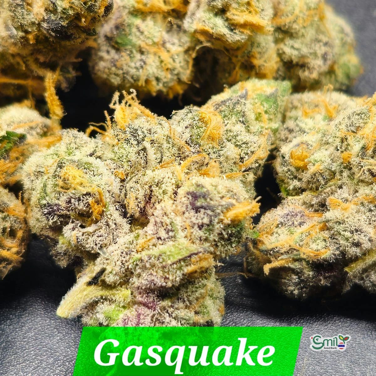 Gasquake — 3
