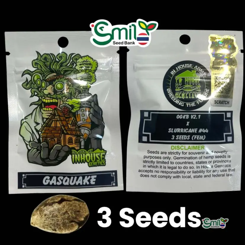 Gasquake — 1