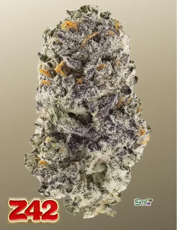 Z42™ — 2