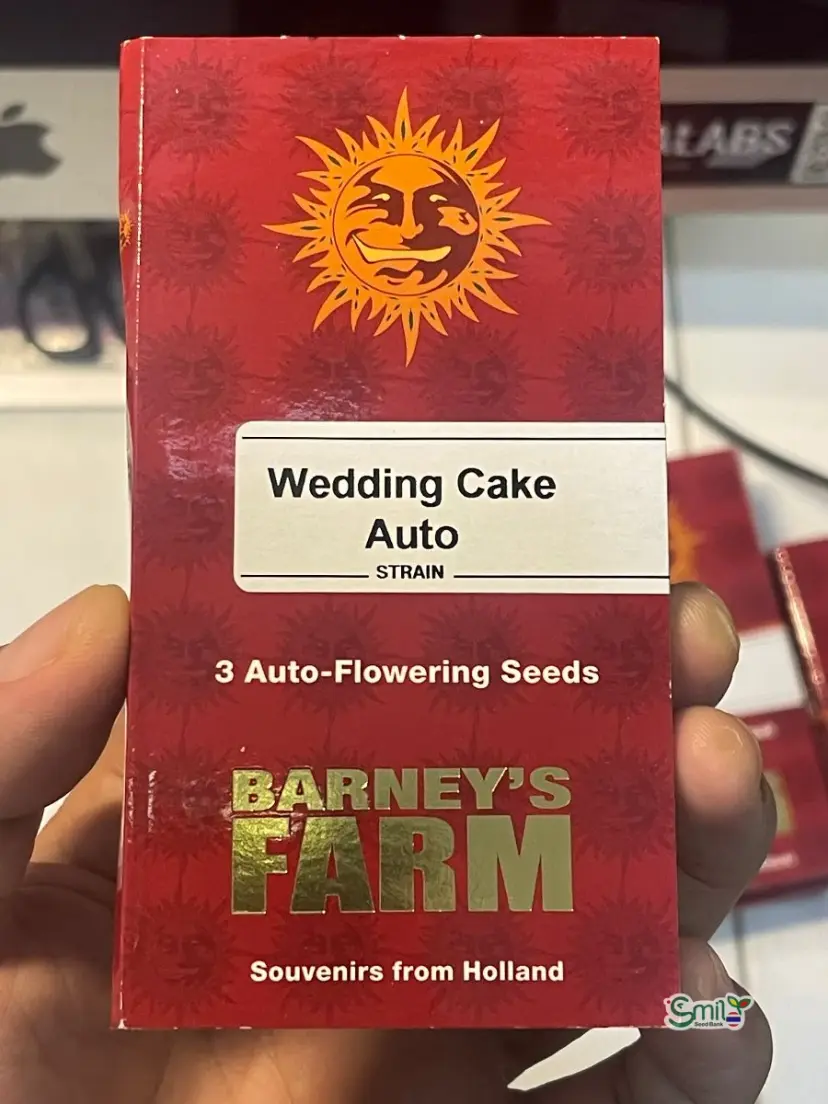 Wedding Cake Auto — 2