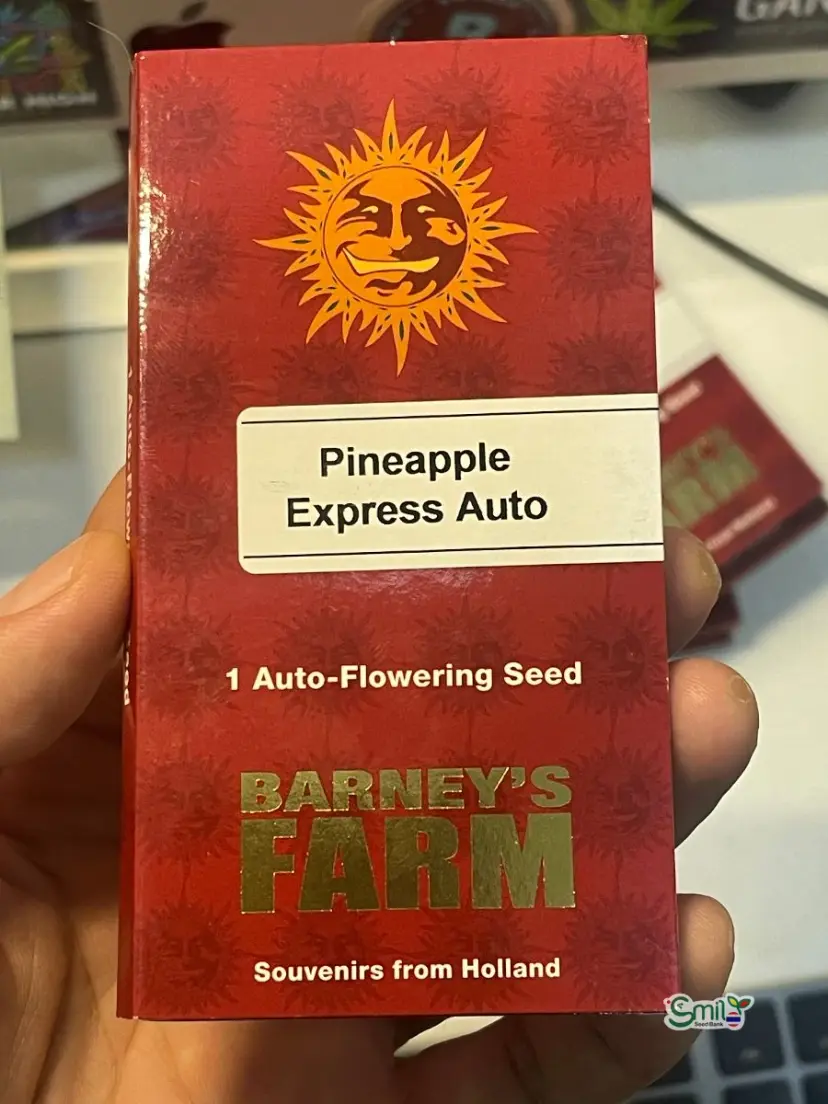Pineapple Express Auto — 2