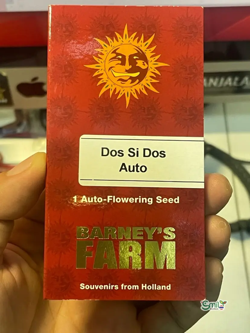 Dos Si Dos Auto — 2