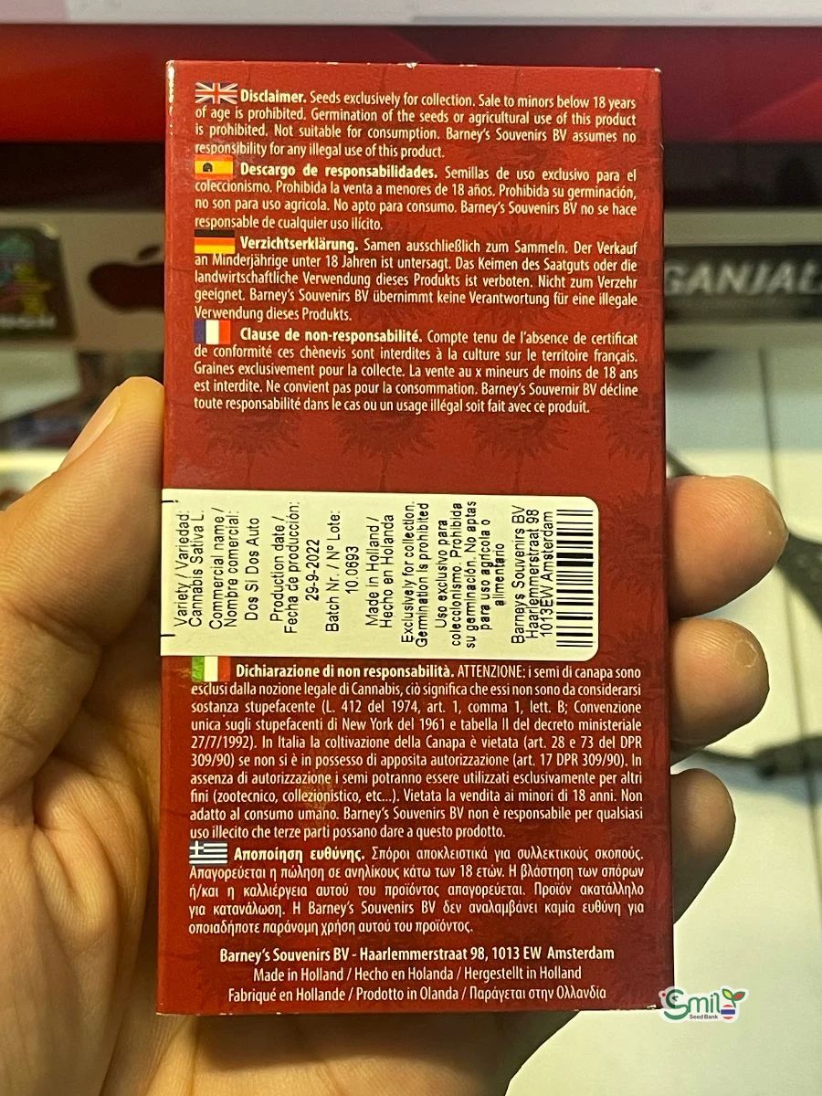 Dos Si Dos Auto — 3