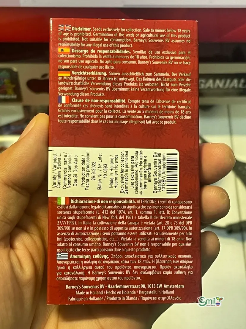 Dos Si Dos Auto — 3