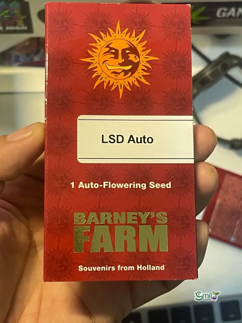 Barney's Farm LSD Auto — 2