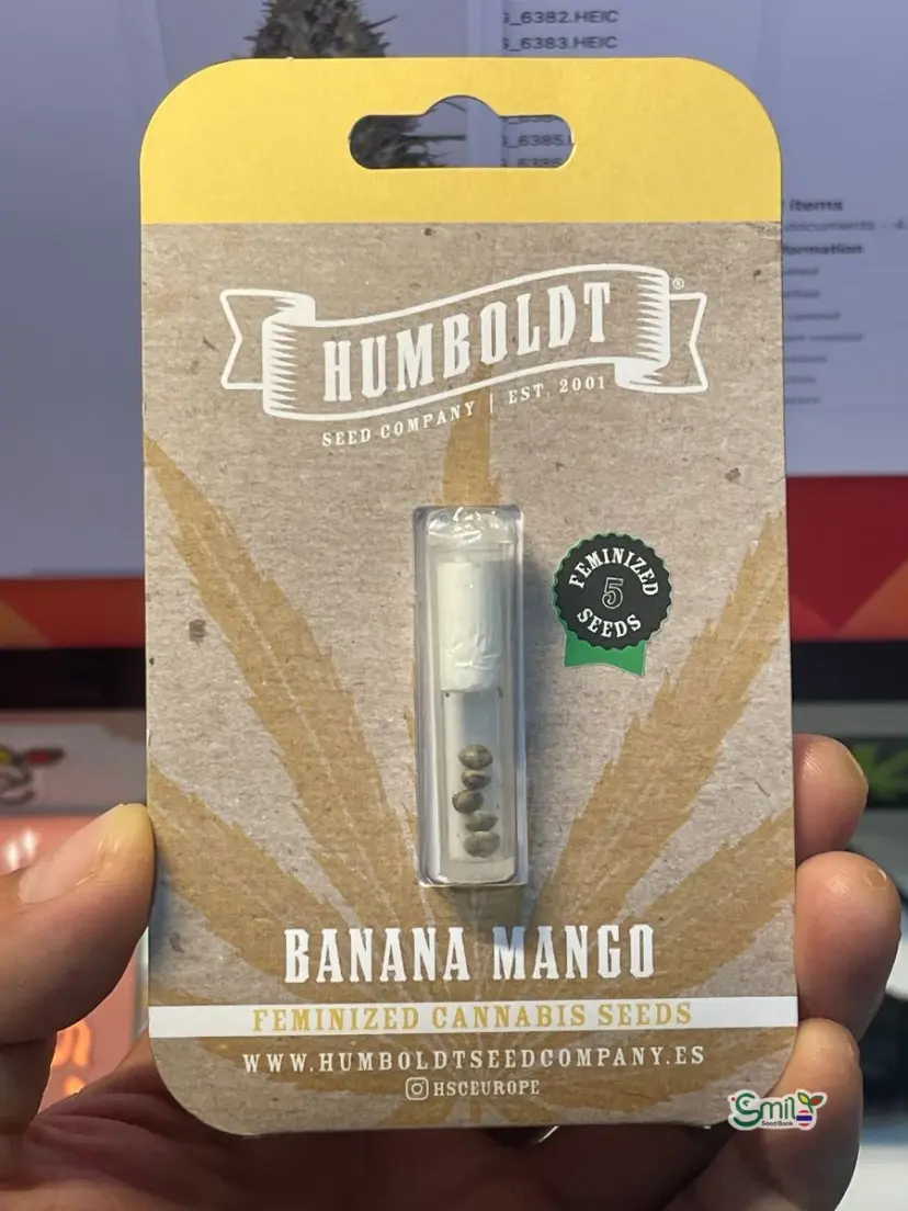 Banana Mango — 1