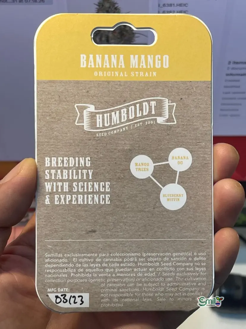 Banana Mango — 2