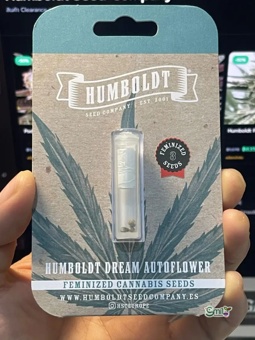 Humboldt Dream Auto — 1