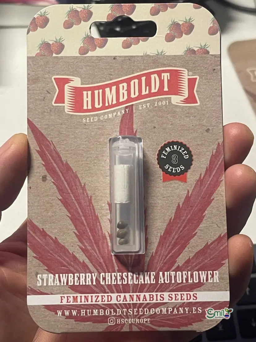 Strawberry Cheesecake Auto — 1