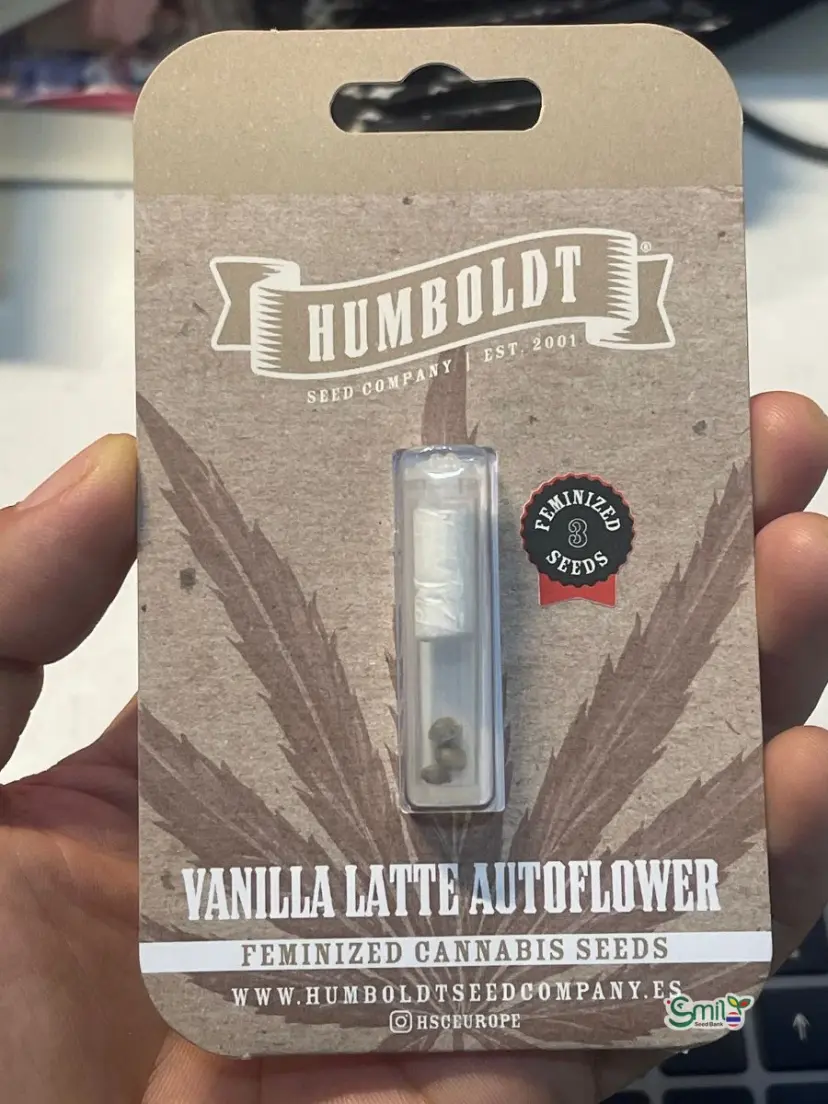 Vanilla Latte Auto — 1