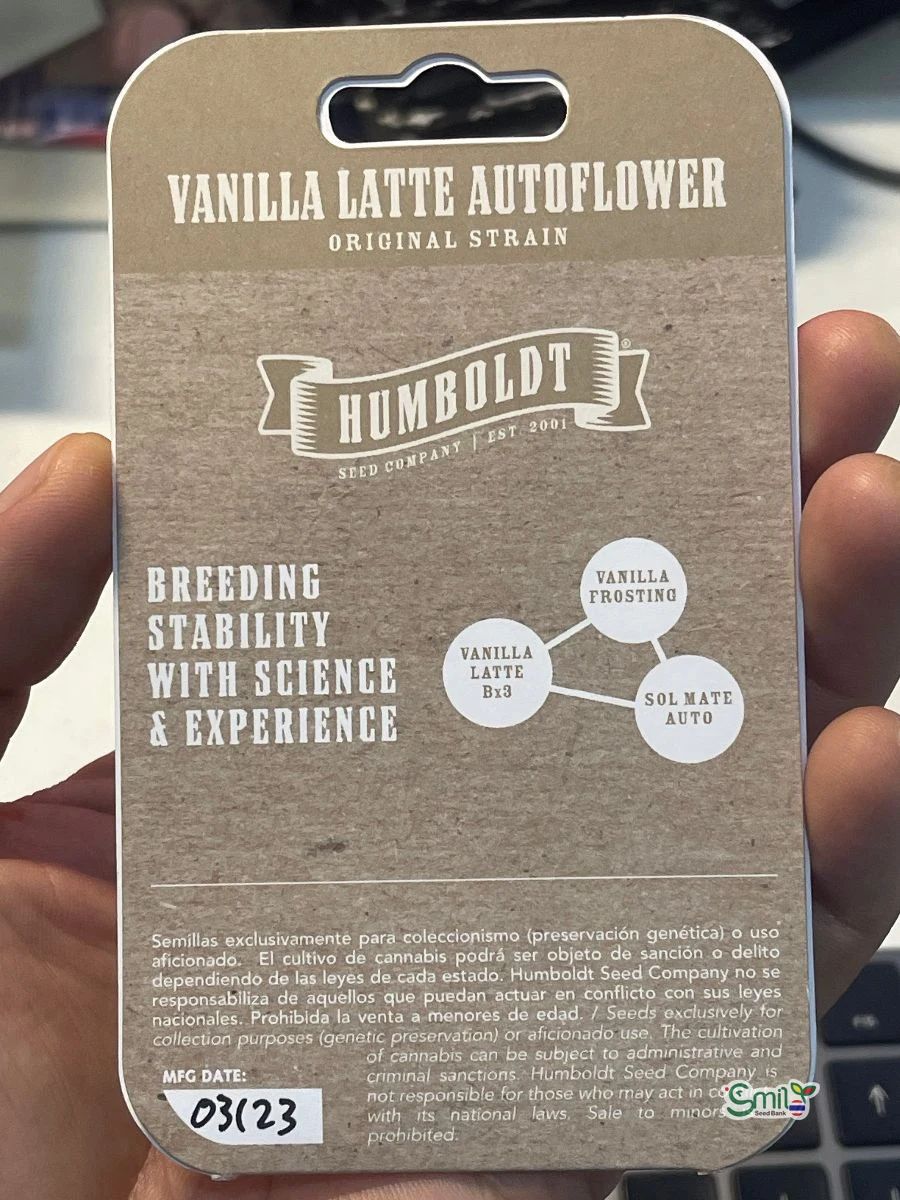 Vanilla Latte Auto — 2