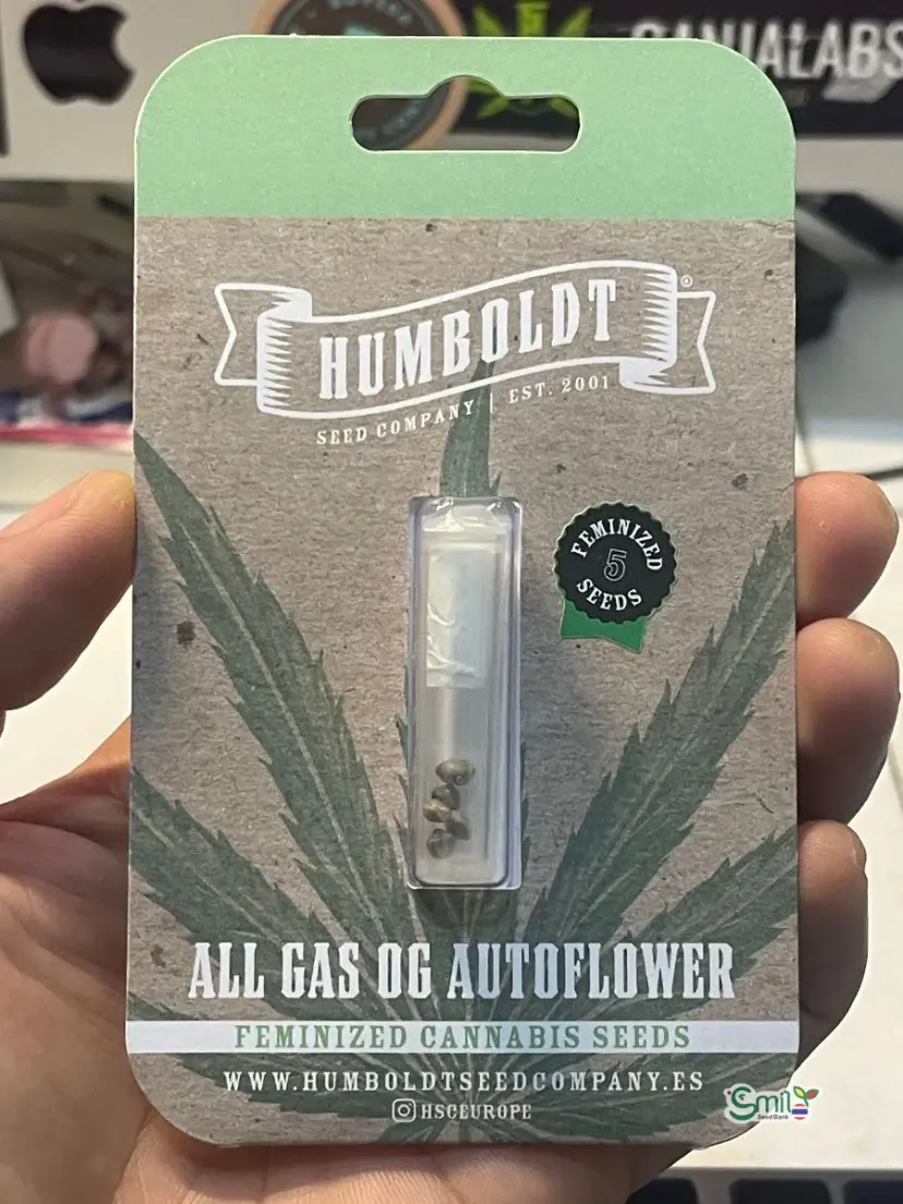 All Gas OG Auto — 1