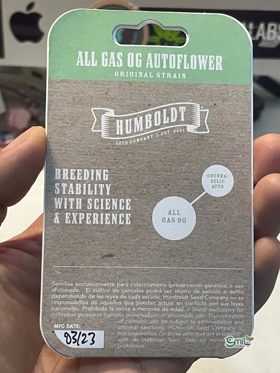 All Gas OG Auto — 2