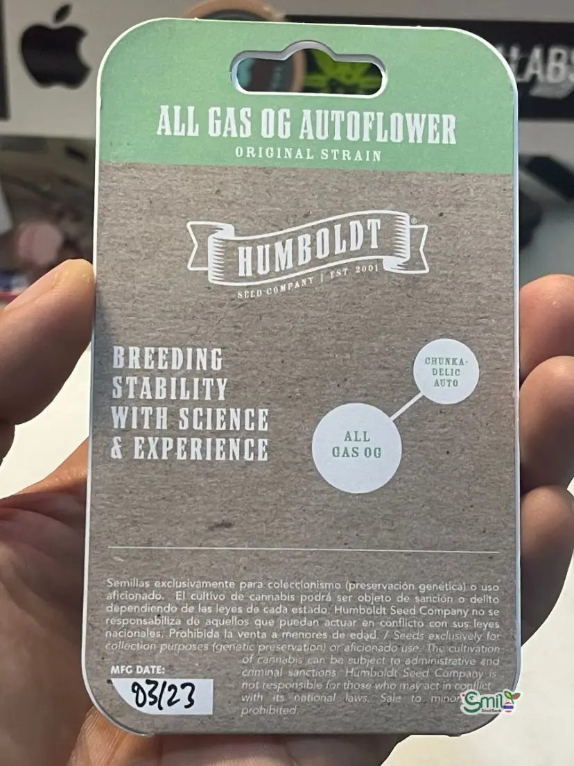 All Gas OG Auto — 2