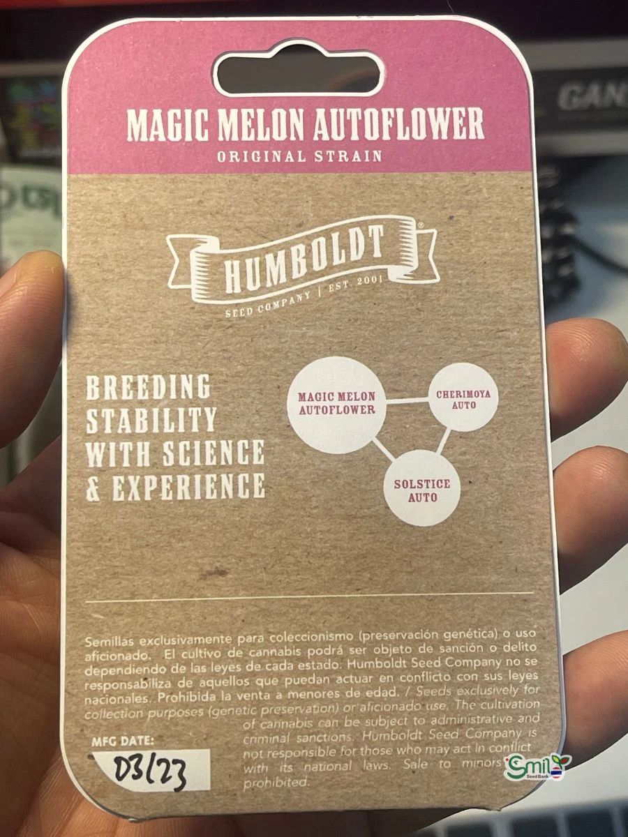 Magic Melon Auto — 2