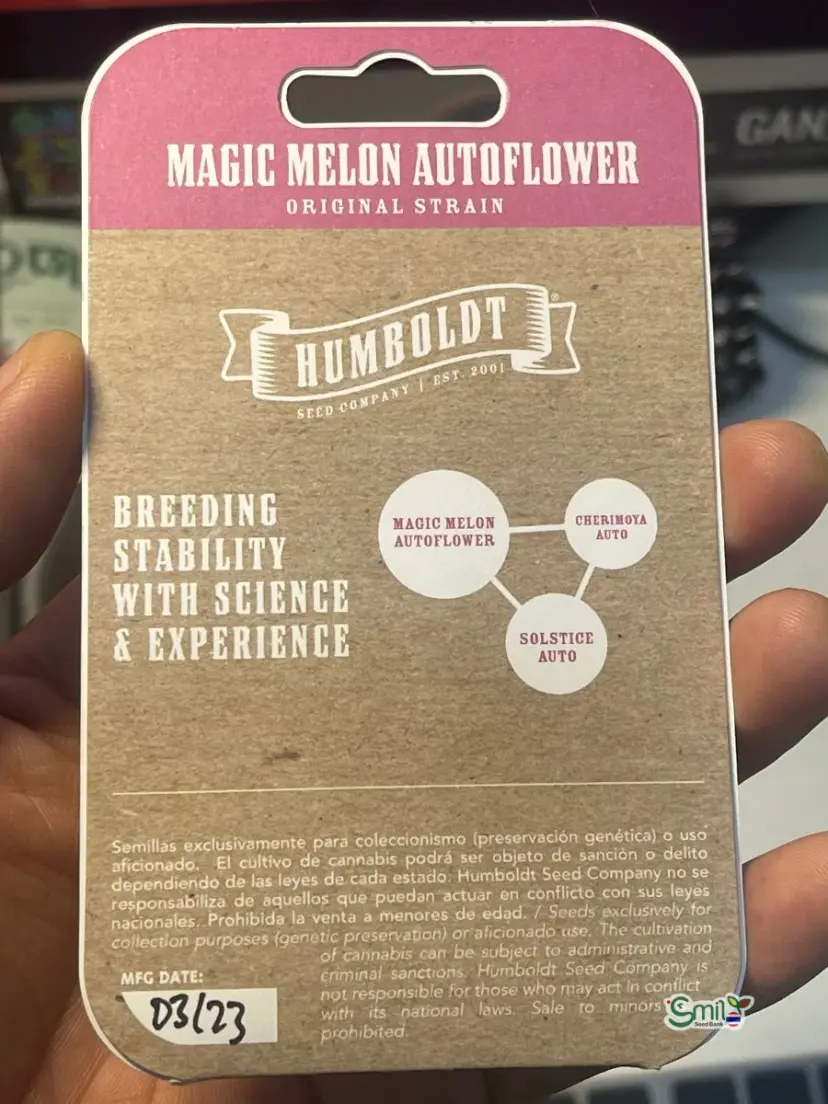 Magic Melon Auto — 2