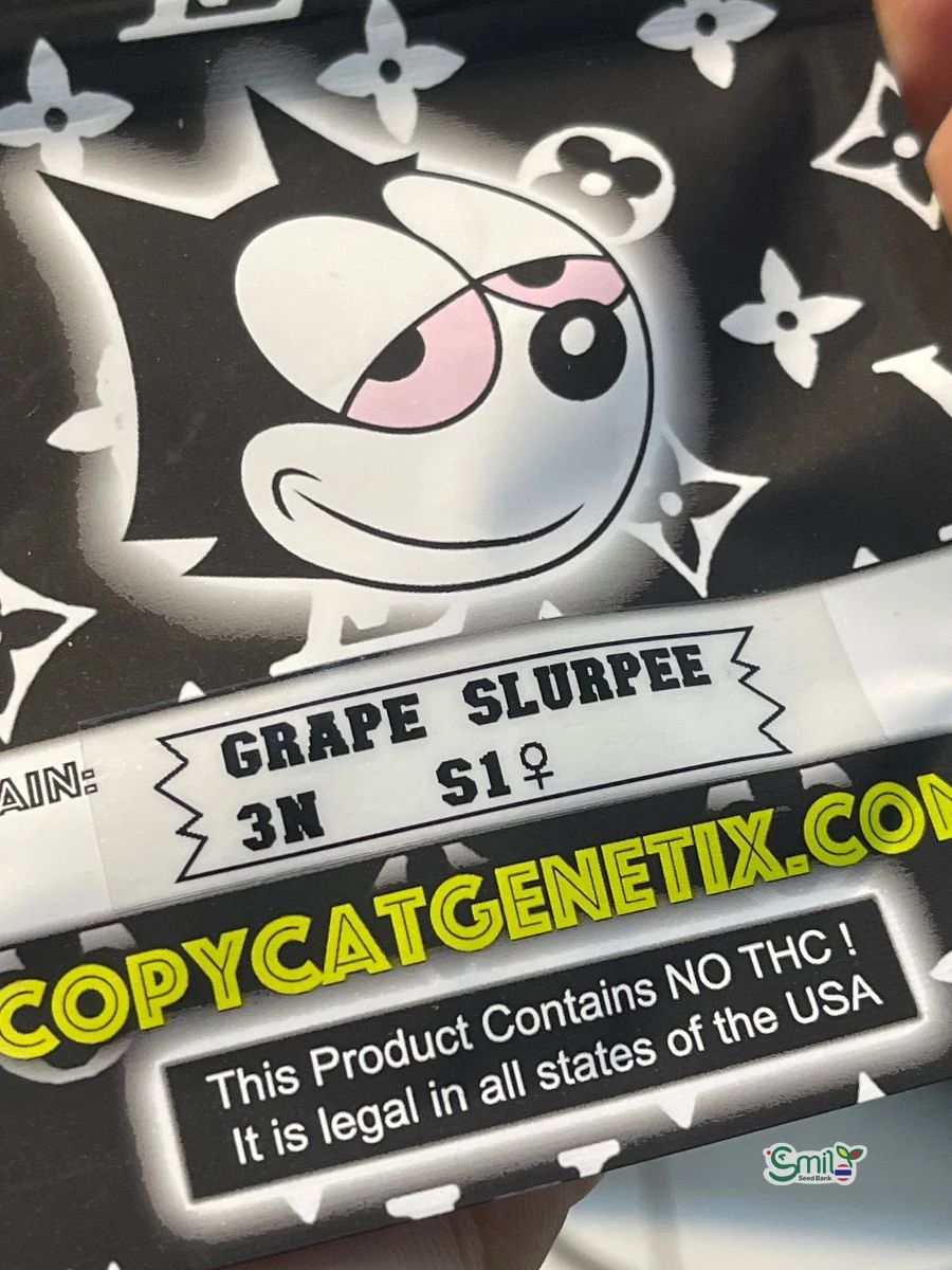 Grape Slurpee 3N S1 — 4