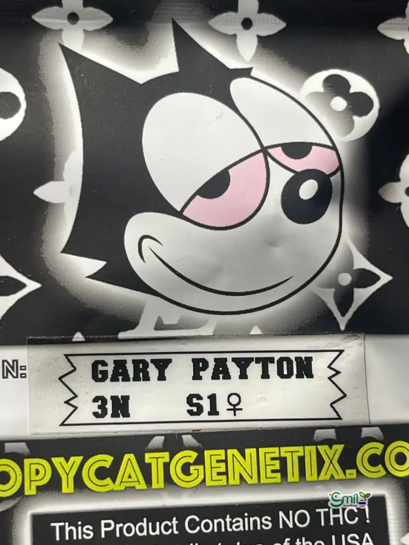 Gary Payton 3N S1 — 4