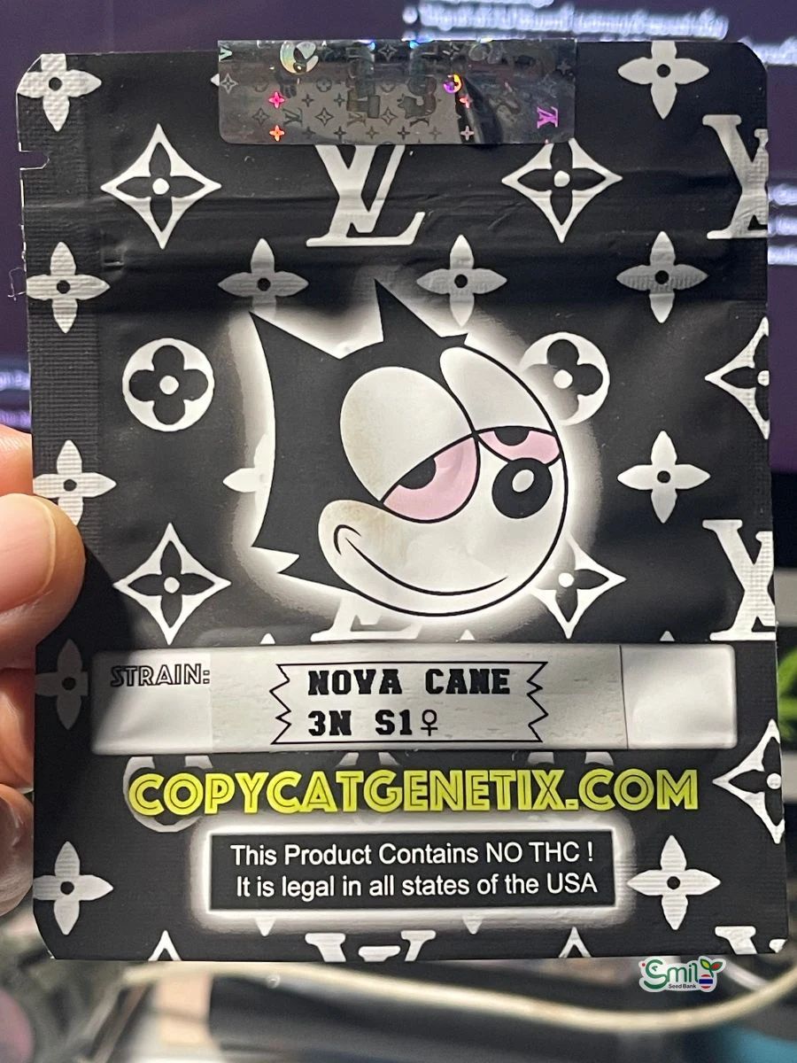 Nova Cane 3N S1 — 2