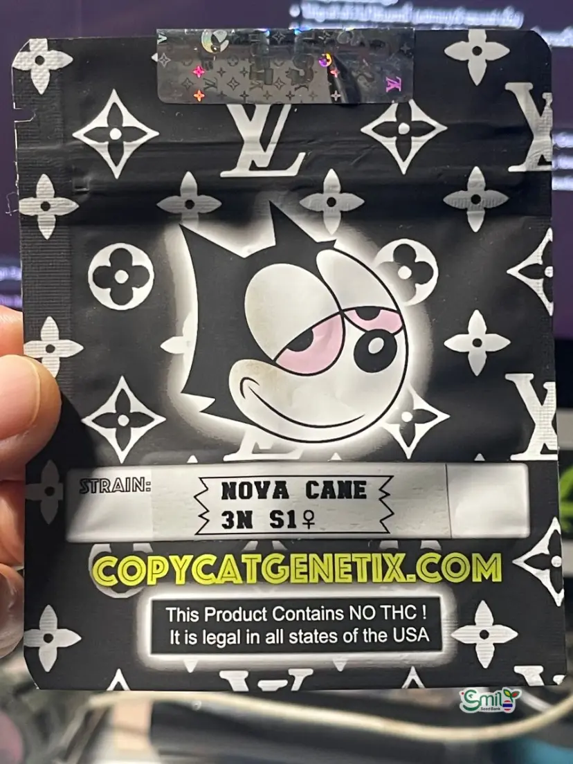 Nova Cane 3N S1 — 2