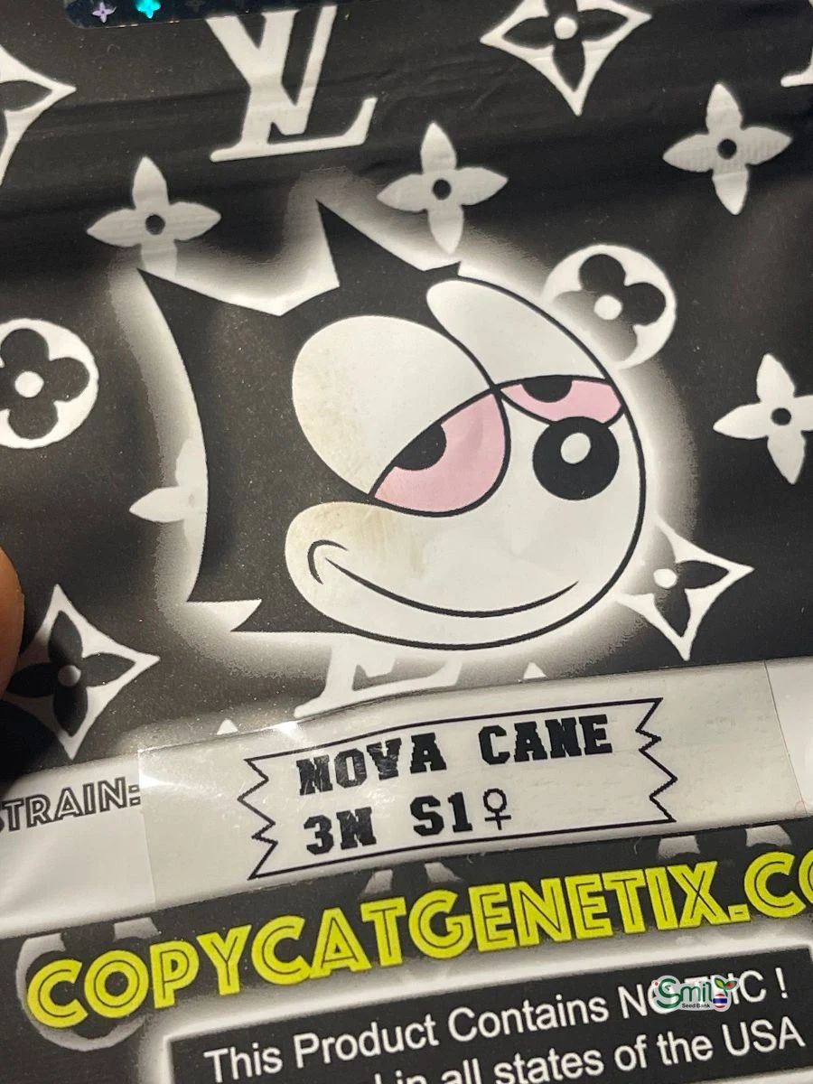 Nova Cane 3N S1 — 4