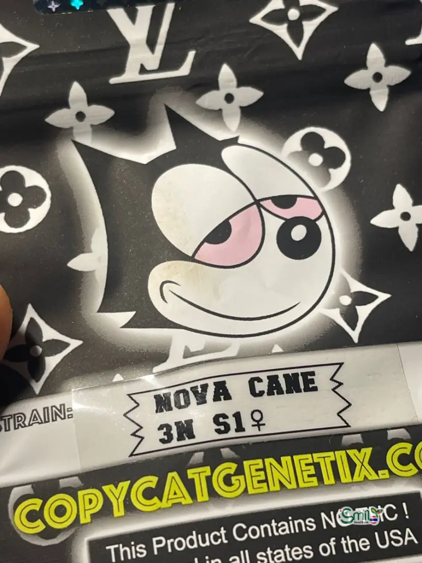 Nova Cane 3N S1 — 4