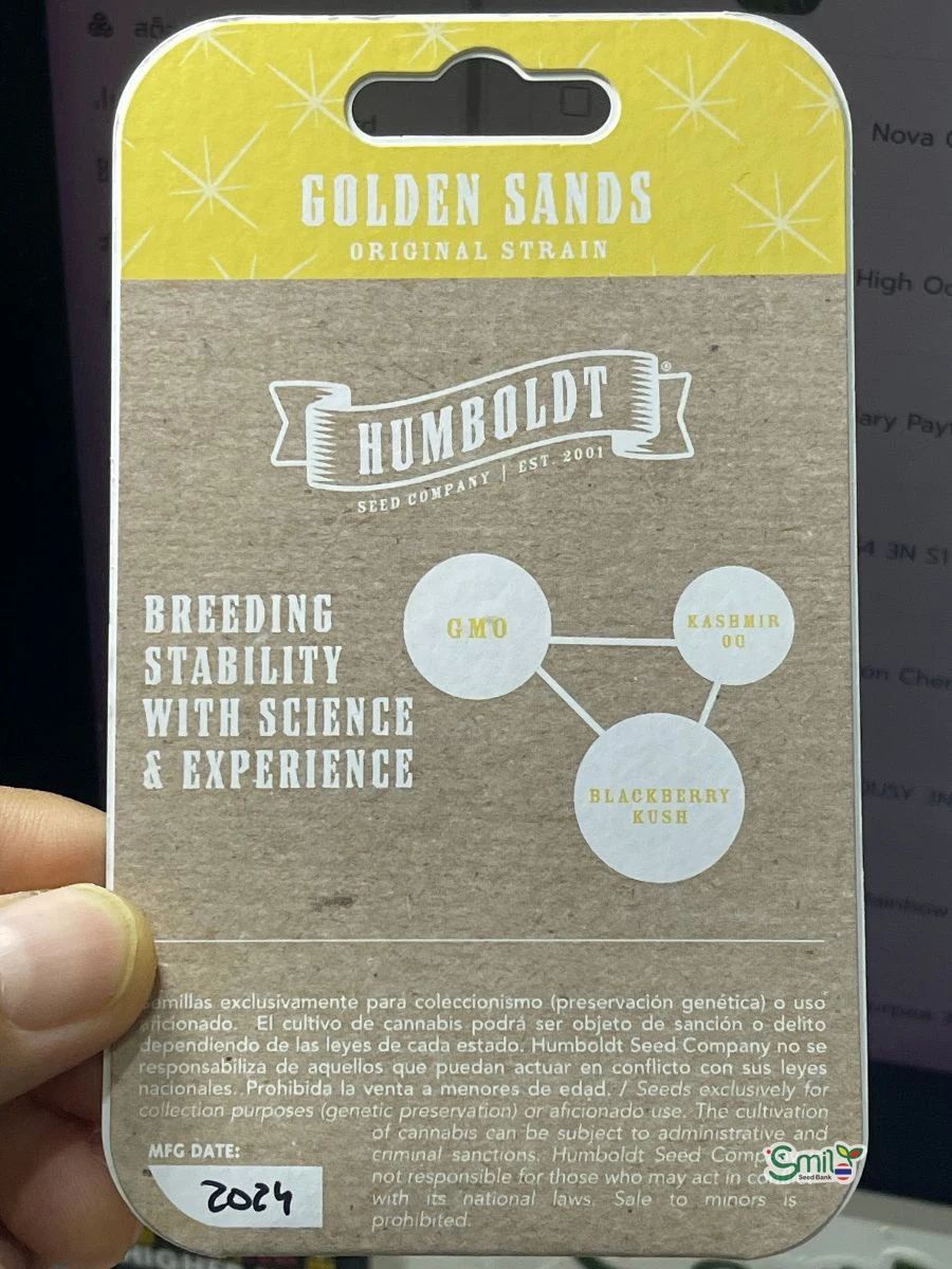 Golden Sands — 4