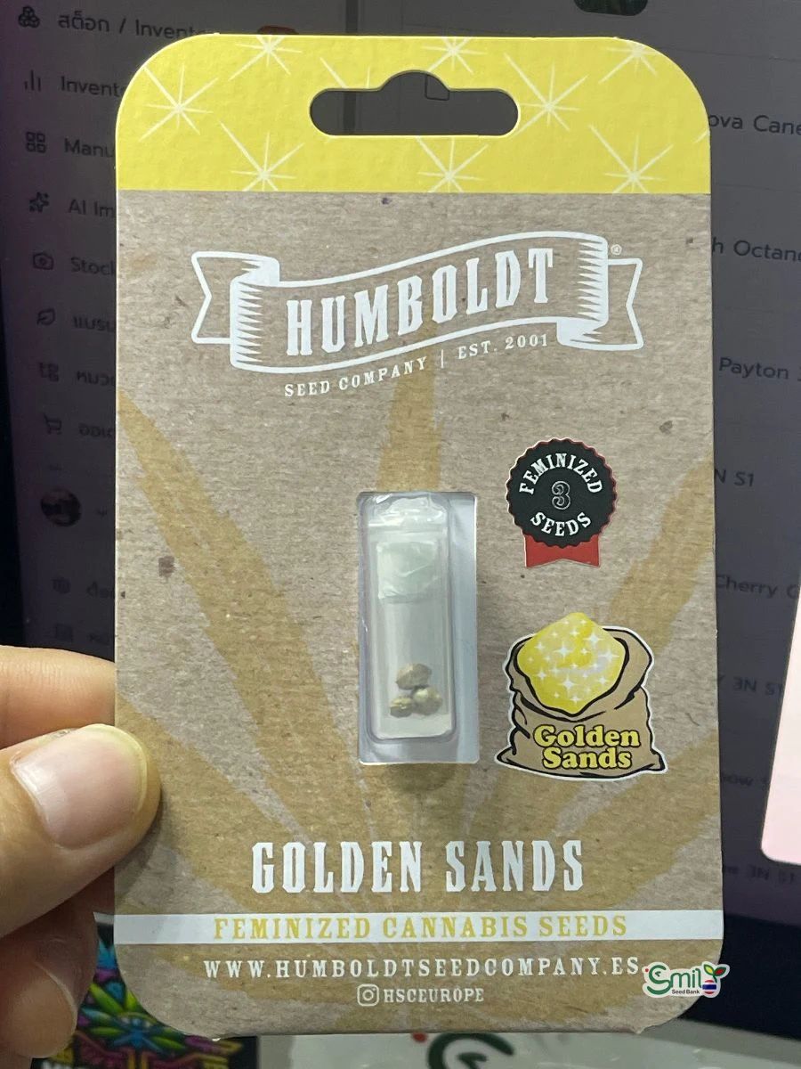Golden Sands — 3