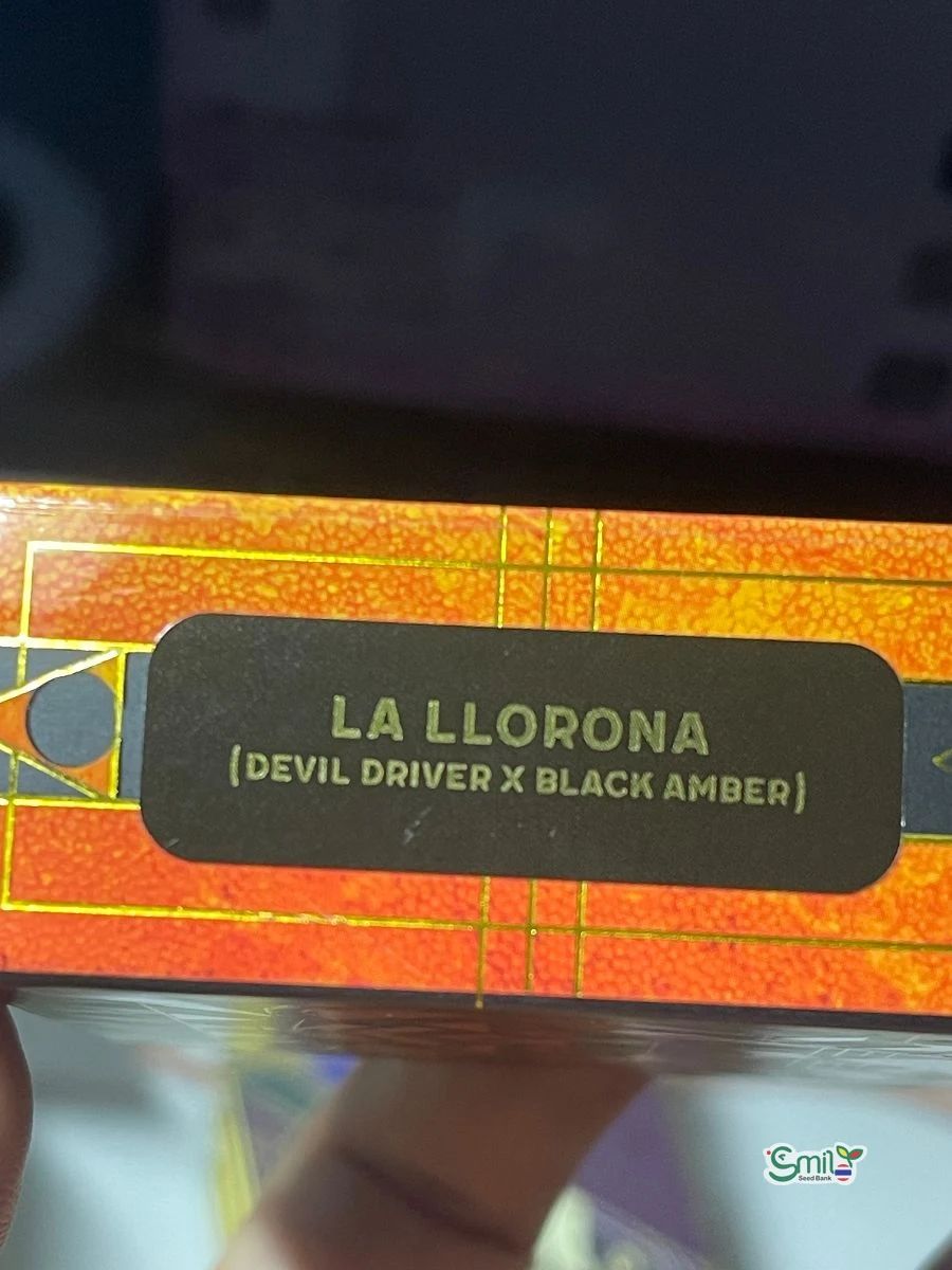 La Llorona — 6