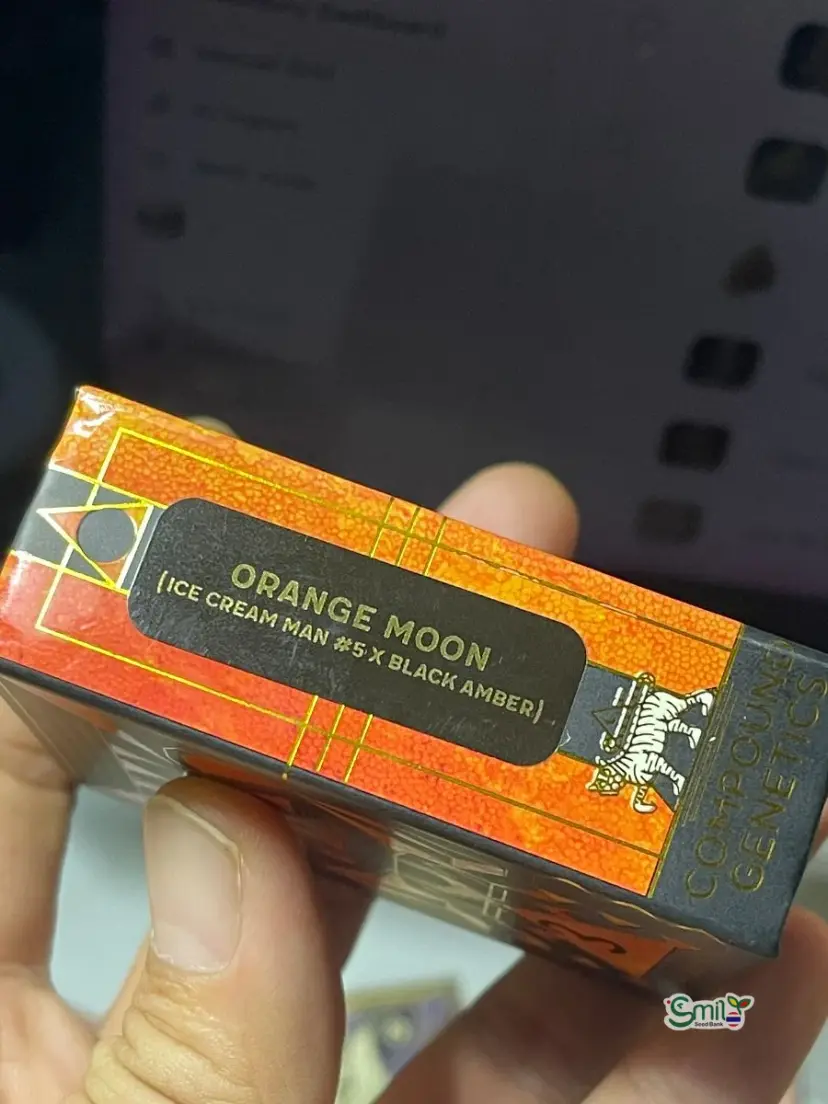 Orange Moon — 3