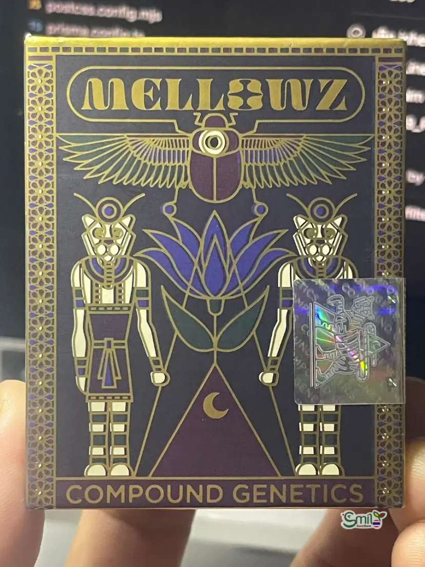 Lemon Chain — 3