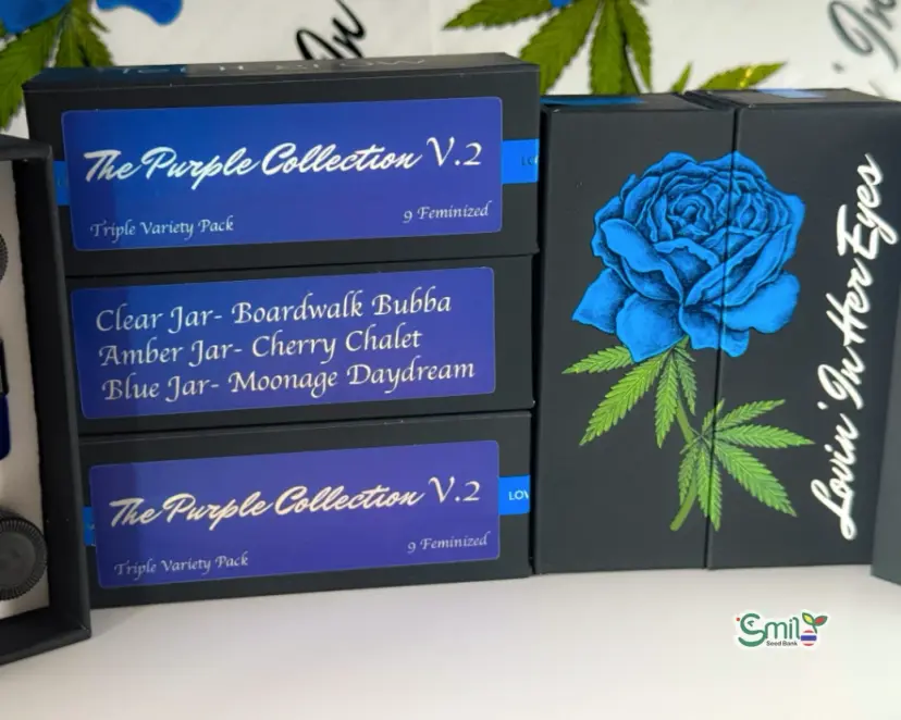 The Purple Collection V.2 — 1