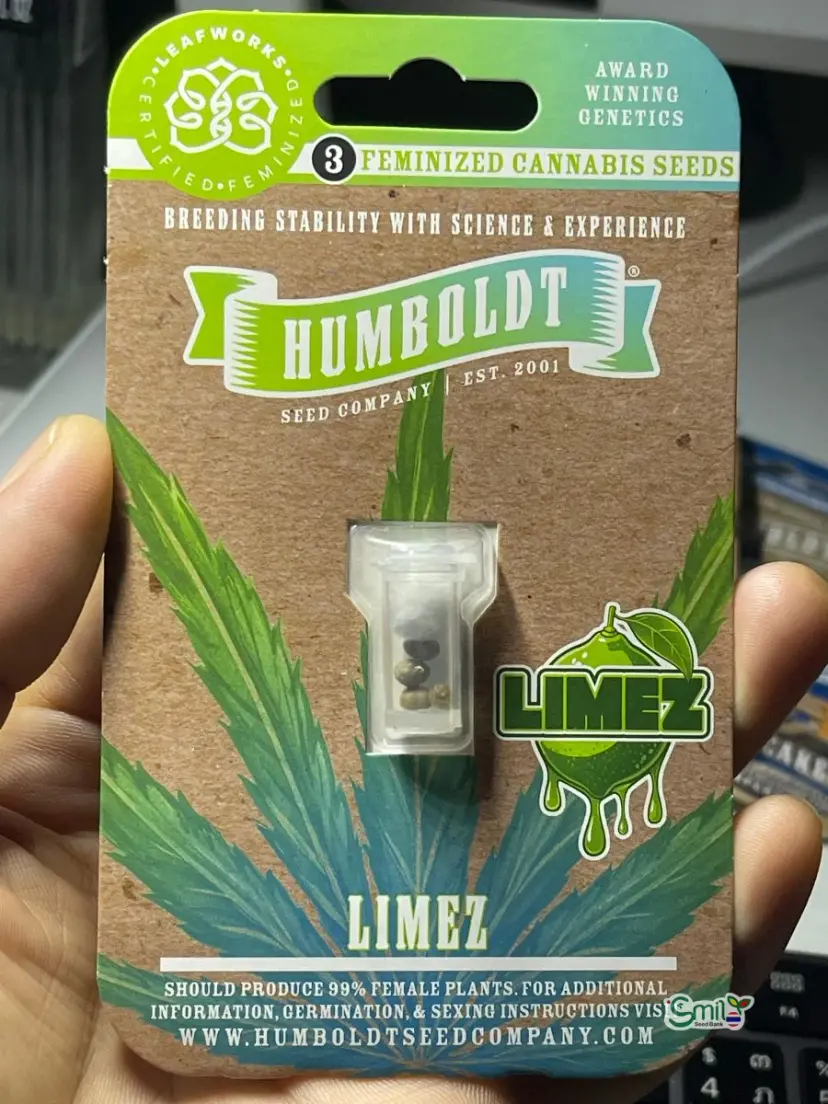 Limez — 2