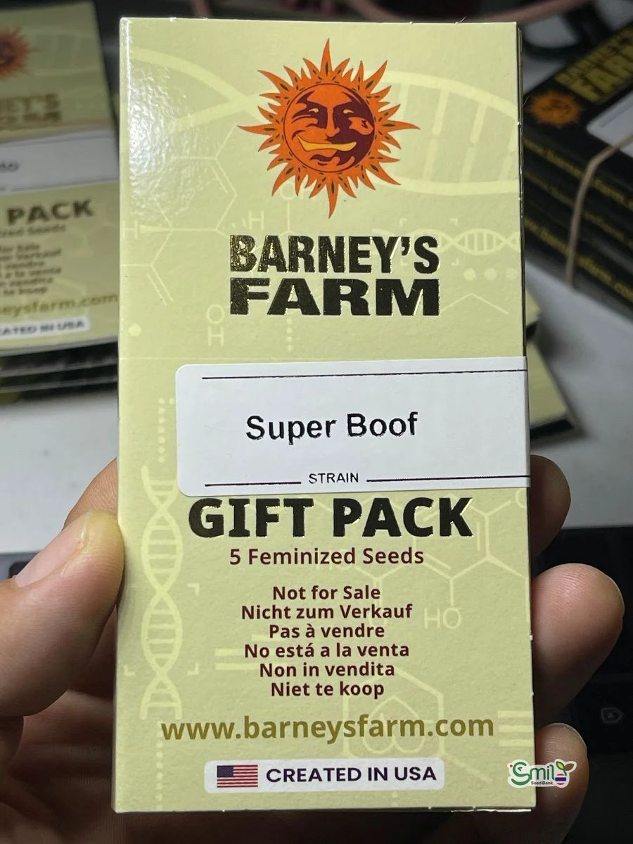 Super Boof — 4