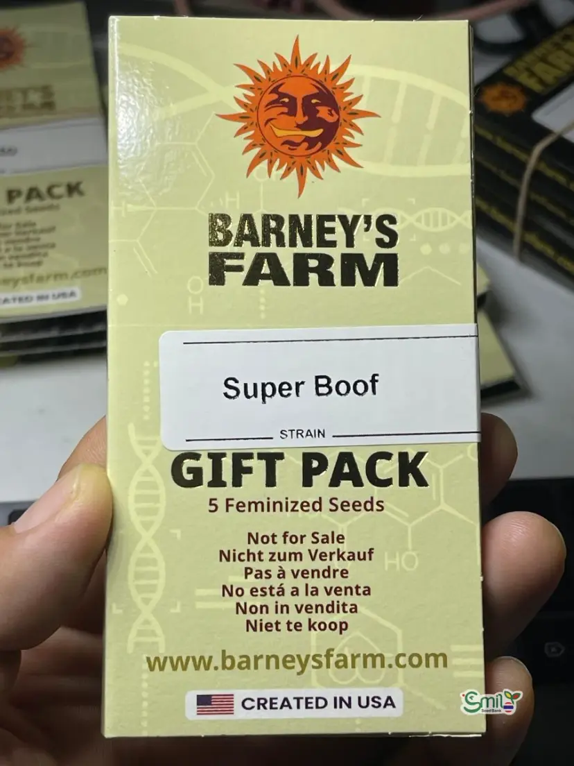 Super Boof — 4