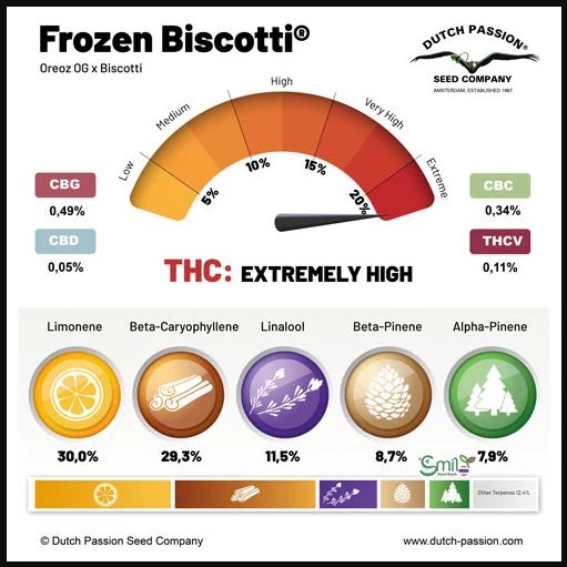 Frozen Biscotti — 8