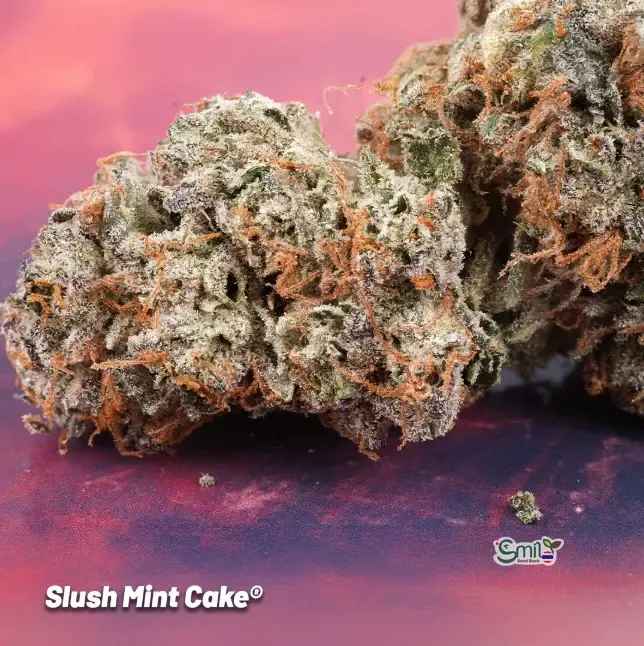 Slush Mint Cake — 7