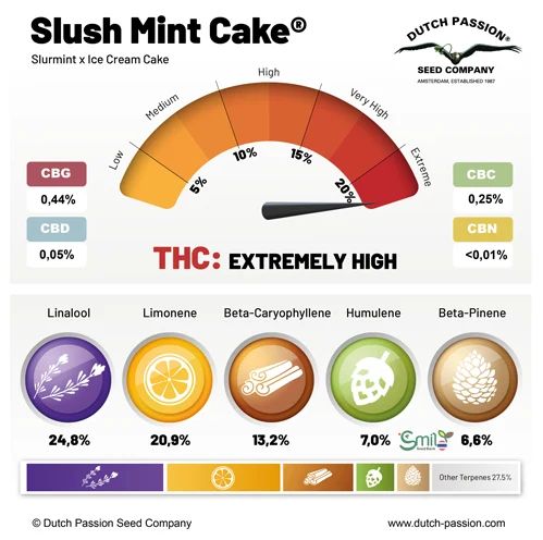 Slush Mint Cake — 4