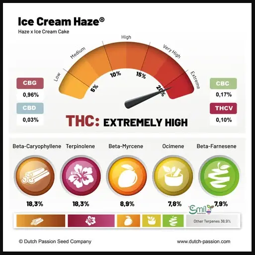 Ice Cream Haze — 6