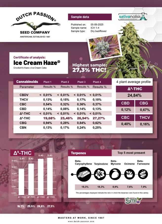 Ice Cream Haze — 7